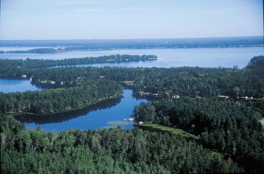 LakeWhitefish